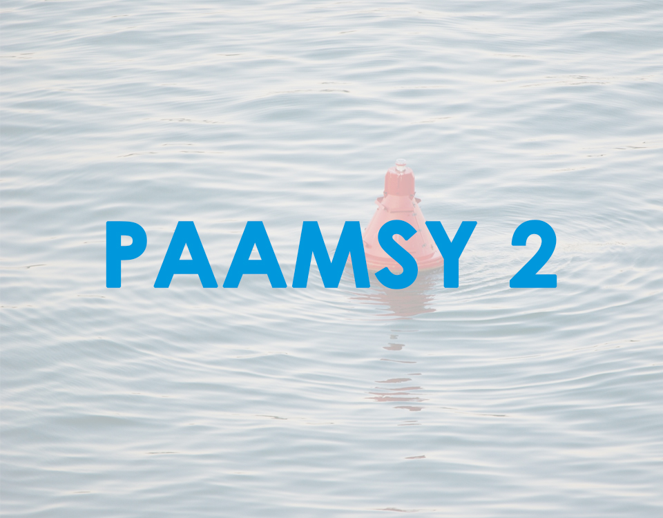 Proyecto PAAMSY 2