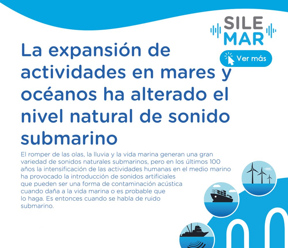 SILEMAR: la expansión de actividades en mares y océanos ha alterado el nivel natural del sonido submarino