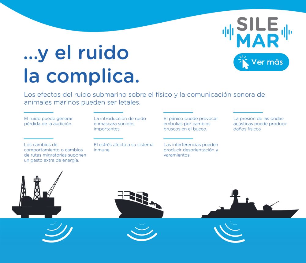 SILEMAR: los efectos del ruido submarino sobre el físico y la comunicación sonora de animales marinos pueden ser letales