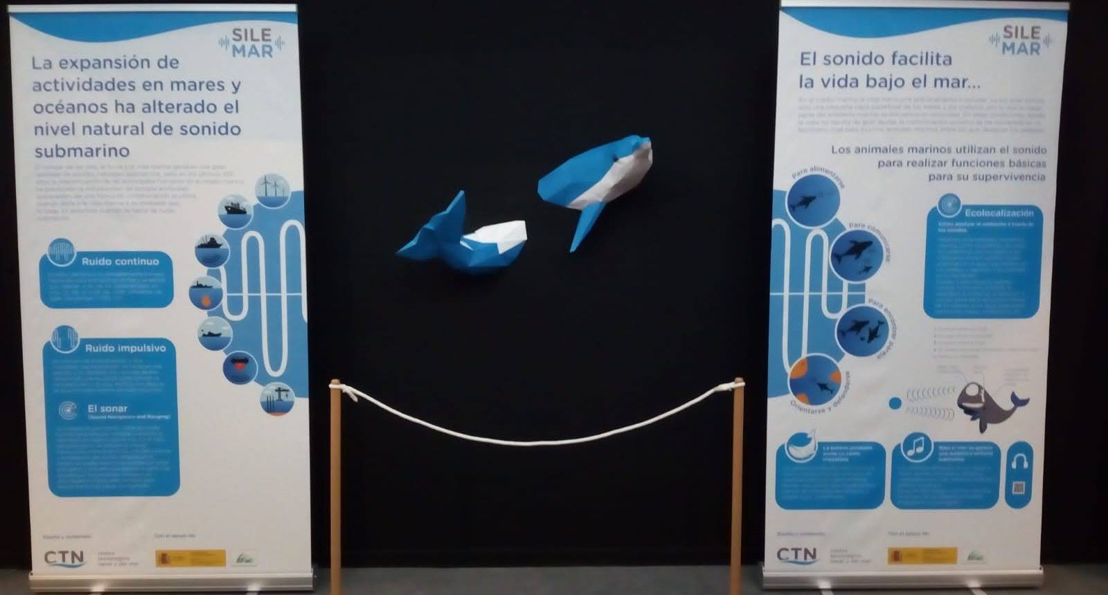 Exposición Ruido Submarino en el Museo de la Ciencia y el Agua