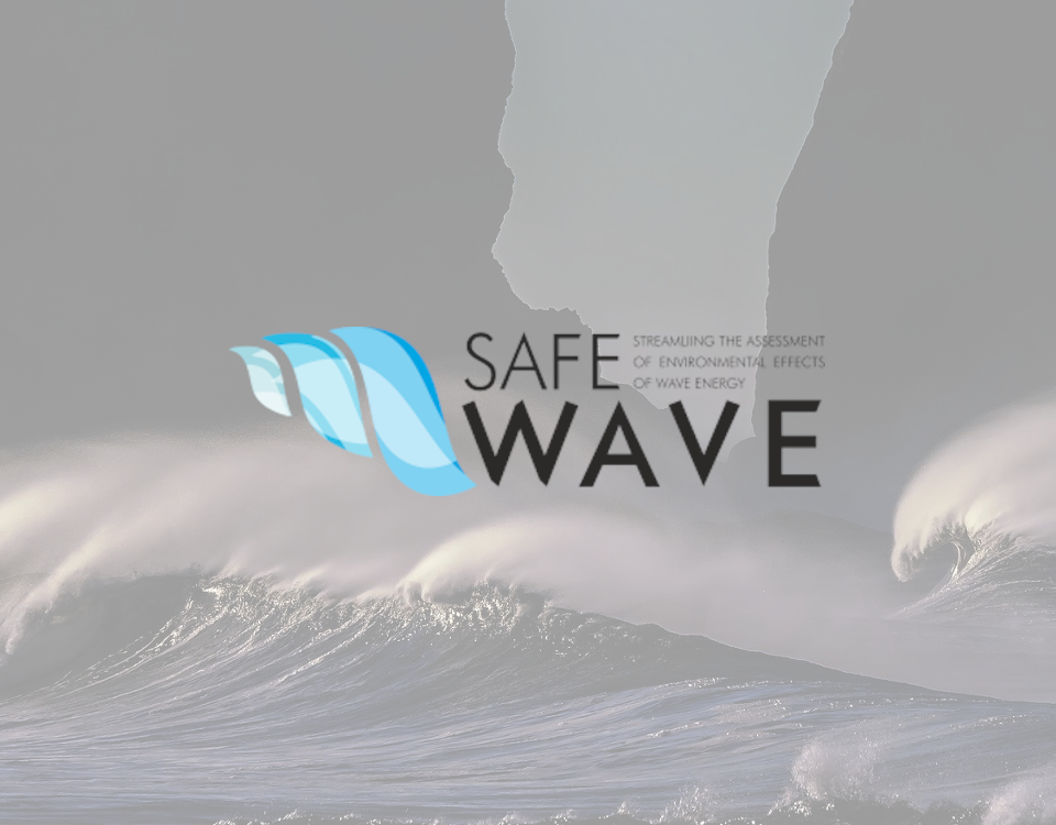 Logo SAFEWAVE