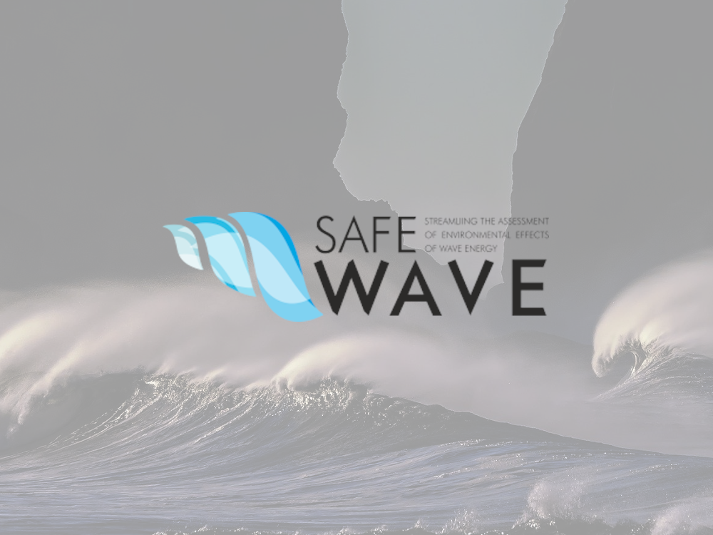 Logo SAFEWAVE