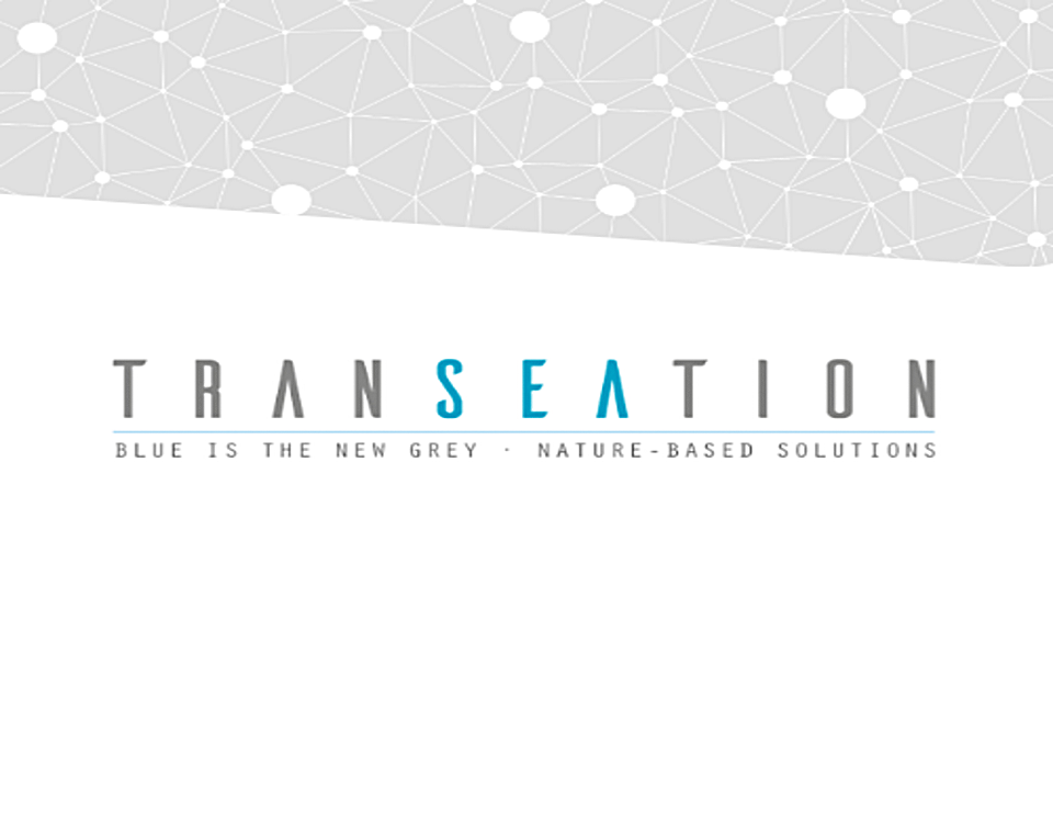 logotipo-proyecto-transeation-web-4